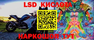 ПСИЛОЦИБИНОВЫЕ ГРИБЫ Кунгур