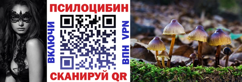 Галлюциногенные грибы мицелий  где купить   MEGA ТОР  Балтийск 