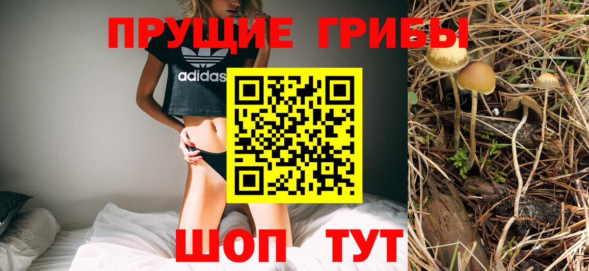 Псилоцибиновые грибы мицелий  Вход с VPN  наркота  Балтийск 