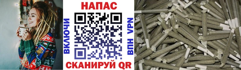 Бошки Шишки MAZAR  где продают   Балтийск 